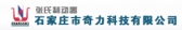 奇力科技 QLZD LOGO