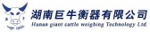 巨牛衡器 HNGNEW LOGO