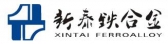 新泰致远 XINTAIZHIYUAN LOGO