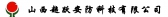 超跃科技 CHAOYUE LOGO