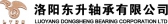 洛阳东升 LYDS LOGO