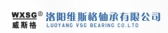 维斯格 LYVSG LOGO