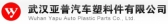 武汉亚普 WHYAPP LOGO