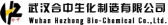 合中生化 HEZHONGCHEM LOGO