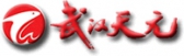 武汉天元 WHTY LOGO