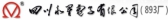 永星电子 893 LOGO