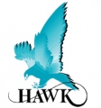 霍克川仪 HAWKSIC LOGO