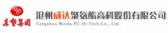 沧州威达 WEIDACHEM LOGO