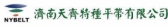 济南天齐 NYBELT LOGO