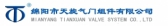 天旋气门 TIANXUAN LOGO