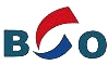 长智光电 BVCH LOGO