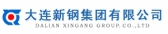 新钢集团 dlsteel LOGO