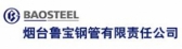 鲁宝钢管 LUBAOSTEELPIPE LOGO