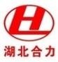 HLQ shacman LOGO