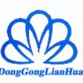 北京东工联华 dglh LOGO