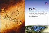 精卫泵阀 zjjwbfls LOGO