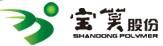 山东宝莫生物化工股份有限公司 宝莫股份 POLYMER LOGO
