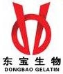 包头东宝生物技术股份有限公司 东宝生物 DONGBAO LOGO