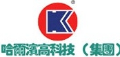 哈尔滨高科技(集团)股份有限公司 哈高科 HGK-GROUP LOGO