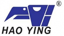 上海皓鹰测控技术有限公司（付志祥） 皓鹰(付志祥） haoying(fuzhixiang) LOGO