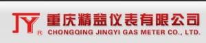 Chongqing Jingyi Instrument Co., Ltd. 重庆精益 CQ-JY LOGO