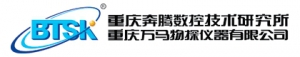 Chongqing Wanma Geophysical Prospecting Instruments Co,LTD. 万马食品 BTSK LOGO