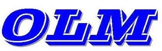Shanghai Onlymine Industrial Co., Ltd. 欧立曼 OLM LOGO