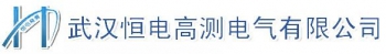Wuhan Heng high power measurement Electric Co., Ltd. 恒电高测 WHHDGC LOGO