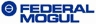 Shanghai Federal Mogual Bearing Co., Ltd. 菲特尔莫古 SHANGHAIFM LOGO