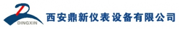 XIAN DINGXIN INSTRUMENT EQUIPMENT CO., LTD. 鼎新仪表 DXYB LOGO