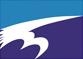 ZHENGZHOU TIAMAES TECHNOLOGY CO.,LTD 天迈科技 TIAMAES LOGO