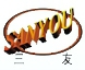 SHIJIAZHUANG SANYOU ELECTRIC APPLIANCE CO., LTD. 三友电器 SYKJ LOGO