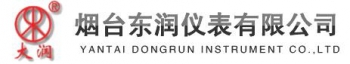 YANTAI DONGRUN INSTRUMENT CO., LTD. 东润仪表 DONGRUN LOGO