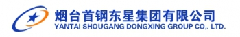 Yantai Shougang Dongxing Group Co., Ltd. 首钢东星 DONGXING LOGO