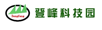 长春登峰集团有限公司 登峰集团 DENGFENG LOGO