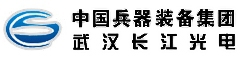 武汉长江光电有限公司 长江光电 CJGD LOGO