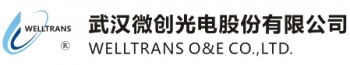 武汉微创光电股份有限公司 微创光电 WELLTRANS LOGO