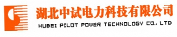 湖北中试电力科技有限公司 中试电力科技 ZHONGSHI LOGO