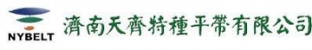 济南天齐特种平带有限公司 济南天齐 NYBELT LOGO