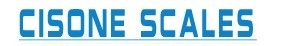 Zhongshan CISONE Electronic Weighing Apparatus Co. Ltd 中恒衡器 CISONE LOGO