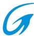 Shanghai Gao Lin electronic co., Ltd. 上海高霖电子 shanghaigaolindianzi LOGO