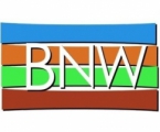 ShenZhen Bunawei Cable co., Ltd. 布纳维 bunawei LOGO