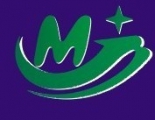 an Mo Jina instrument manufacturing company Ltd. 莫吉娜仪器 mojinayiqi LOGO