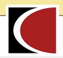 XIAMEN CHINE STONE CO.,LTD. 石材 STONE LOGO