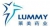 重庆莱美药业股份有限公司 莱美药业 LUMMY LOGO