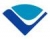 安徽德力日用玻璃股份有限公司 德力股份 DELI LOGO