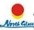 Luoyang North Glass Technology Co.,Ltd. NORTHGLASS LOGO