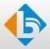 Shanghai Baineng Instrument Co., Ltd. BAINENG LOGO
