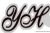 Yonghua Instrument Co., Ltd. YONGHUA LOGO
