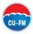 Rizhao Fem New Material Technology Co., Ltd. RZFEM LOGO